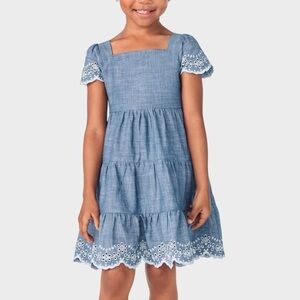 Gymboree Girls Chambray Denim Tiered Dress Prairie Fields Eyelet Blue Size 10